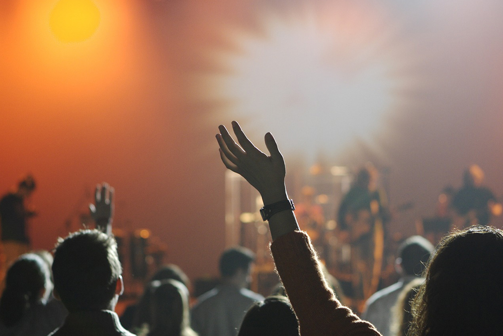 People throwing their hands in the air for a concert and the Hotel at the Arundel Preserve