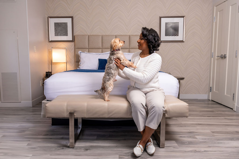 A woman holding a small dog in a sunlit hotel room.