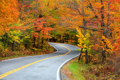 Fall Foliage along a road