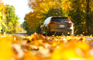 mini van driving away Sunny Autumn Country Drive through fall leaves and trees