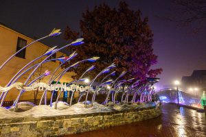 Holiday Lights Walk to the North Pole at Willow Oak, Severn