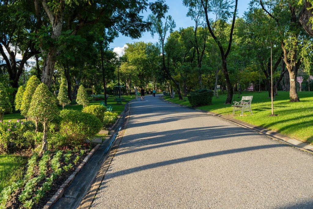 Trail with trees - Shutterstock Makhh