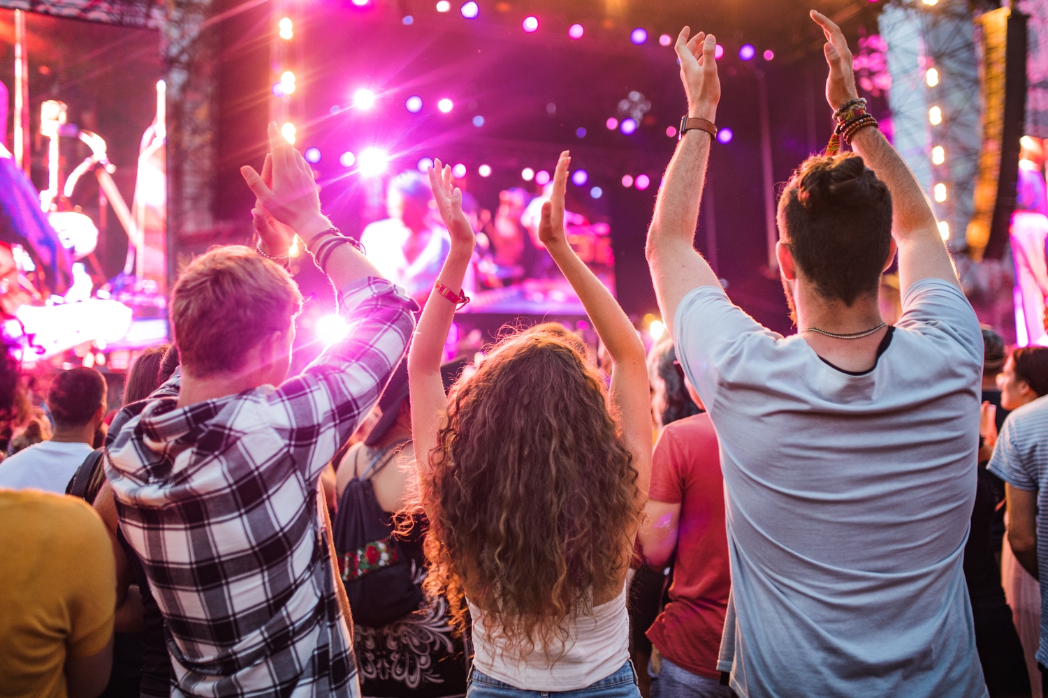 Music Festival - Shutterstock Ground Picture